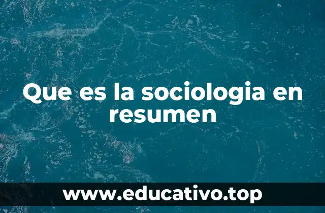 Que es la sociologia en resumen