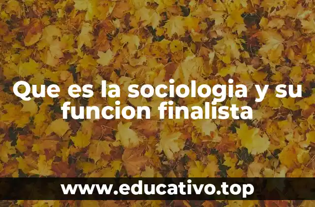 Que es la sociologia y su funcion finalista