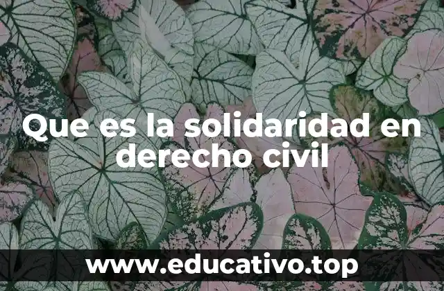 Que es la solidaridad en derecho civil