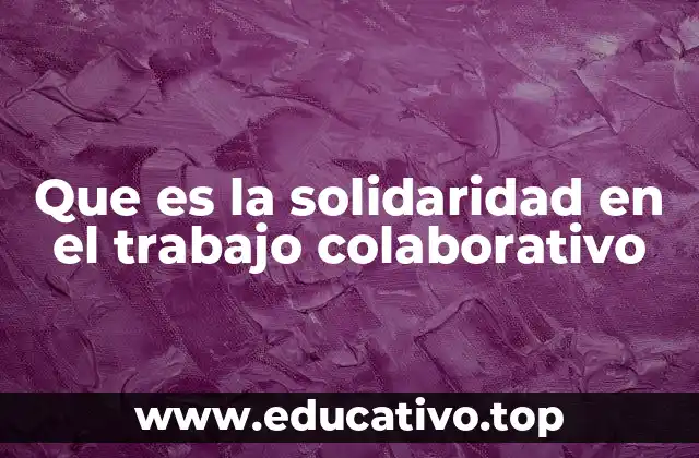 Que es la solidaridad en el trabajo colaborativo