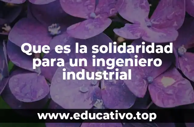 Que es la solidaridad para un ingeniero industrial