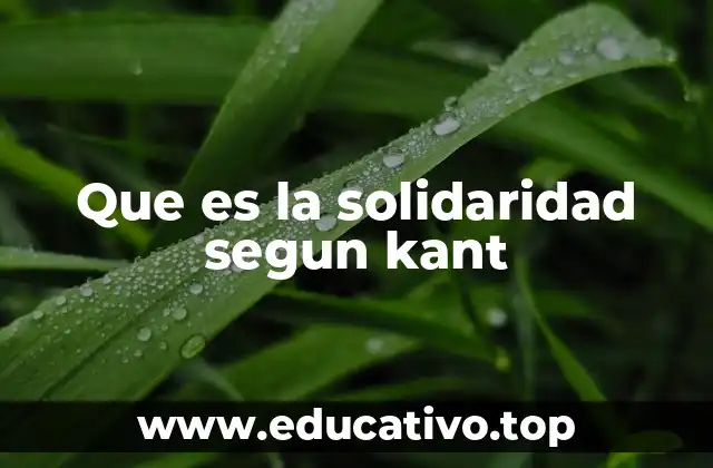Que es la solidaridad segun kant