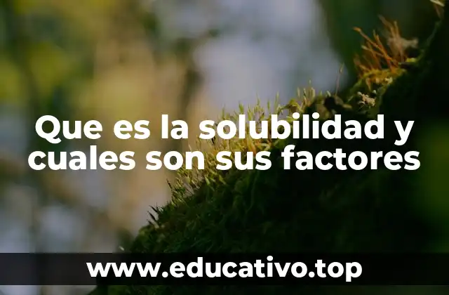 Que es la solubilidad y cuales son sus factores