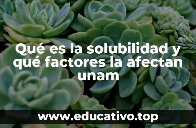 Qué es la solubilidad y qué factores la afectan unam