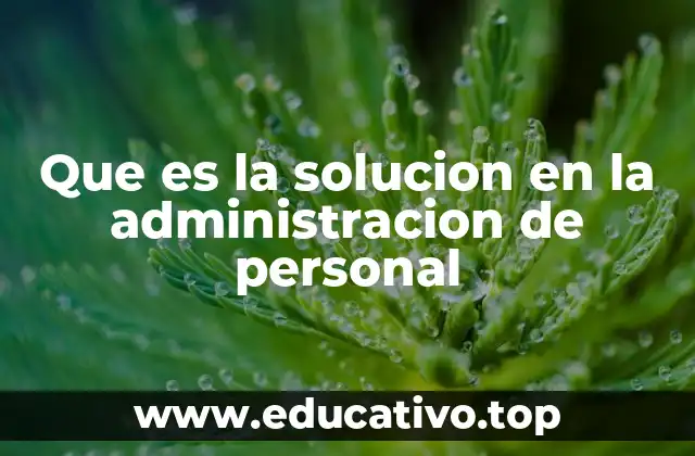 Que es la solucion en la administracion de personal