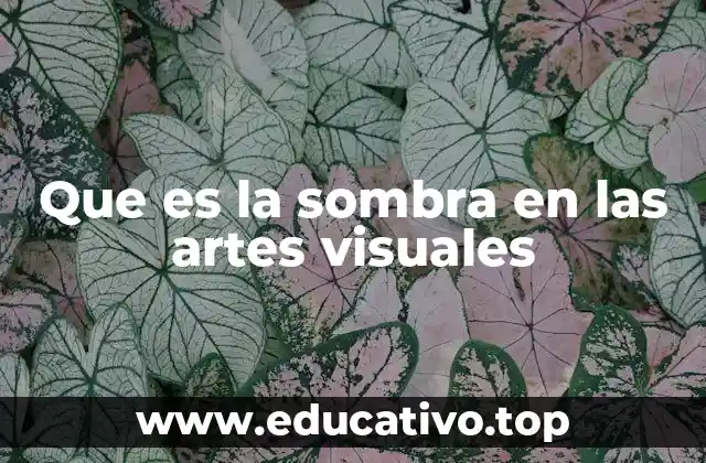 Que es la sombra en las artes visuales