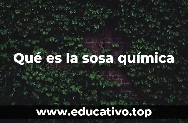 Qué es la sosa química