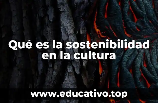 Qué es la sostenibilidad en la cultura