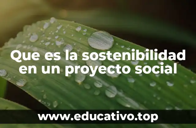 Que es la sostenibilidad en un proyecto social