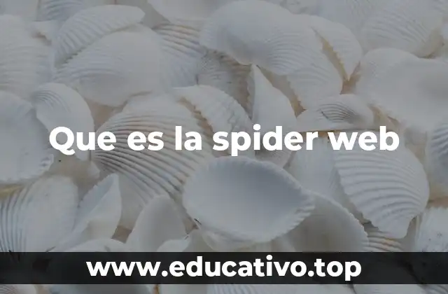 Que es la spider web