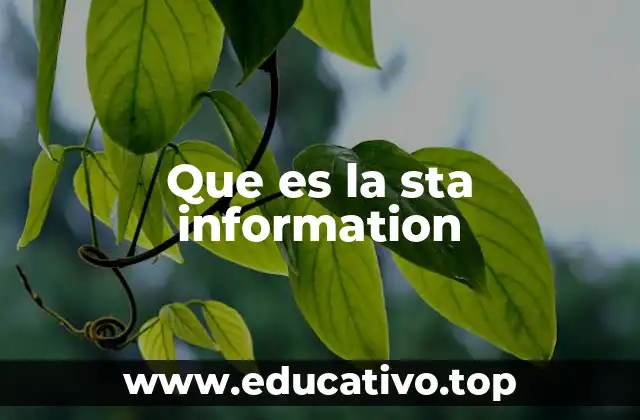 Que es la sta information