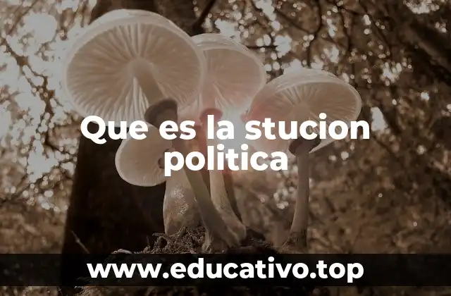 Que es la stucion politica
