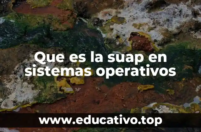 Que es la suap en sistemas operativos