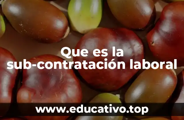 Que es la sub-contratación laboral