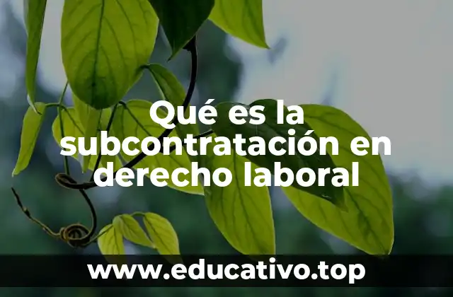 Qué es la subcontratación en derecho laboral
