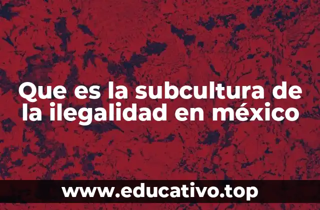 Que es la subcultura de la ilegalidad en méxico