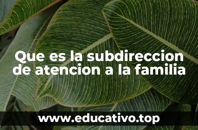 El rol de las instituciones en la atención familiar