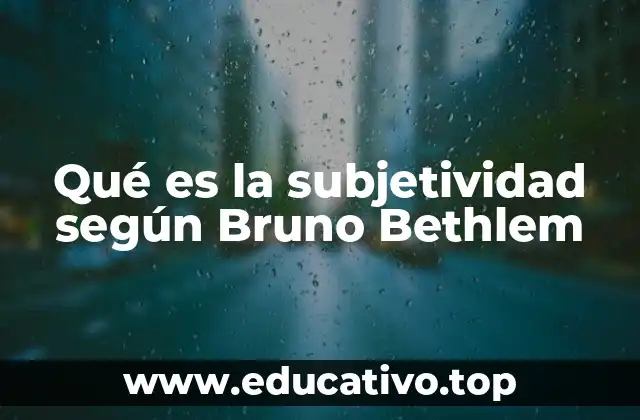 Qué es la subjetividad según Bruno Bethlem