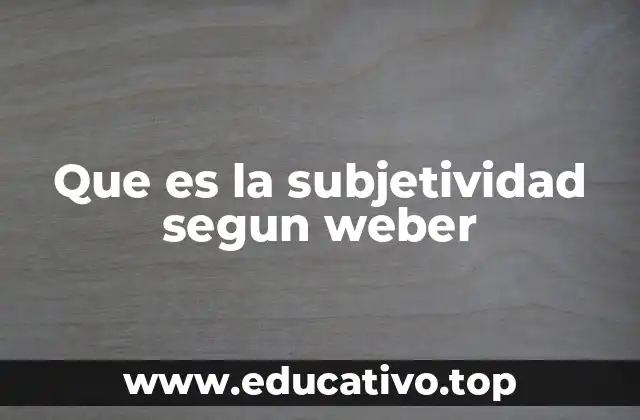 Que es la subjetividad segun weber