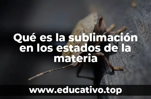 Qué es la sublimación en los estados de la materia
