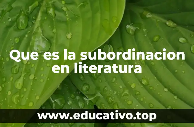 Que es la subordinacion en literatura