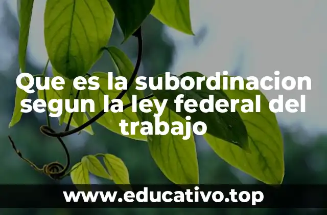 Que es la subordinacion segun la ley federal del trabajo