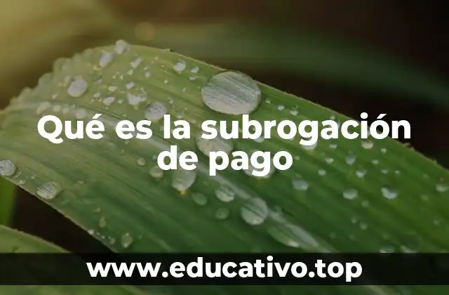 Qué es la subrogación de pago