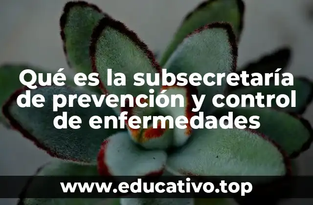 Qué es la subsecretaría de prevención y control de enfermedades