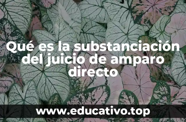 Qué es la substanciación del juicio de amparo directo