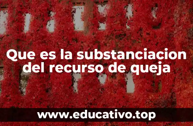 Que es la substanciacion del recurso de queja
