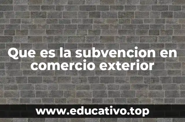 Que es la subvencion en comercio exterior