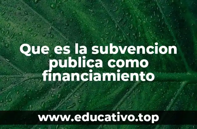 Que es la subvencion publica como financiamiento
