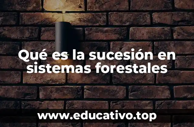 Qué es la sucesión en sistemas forestales