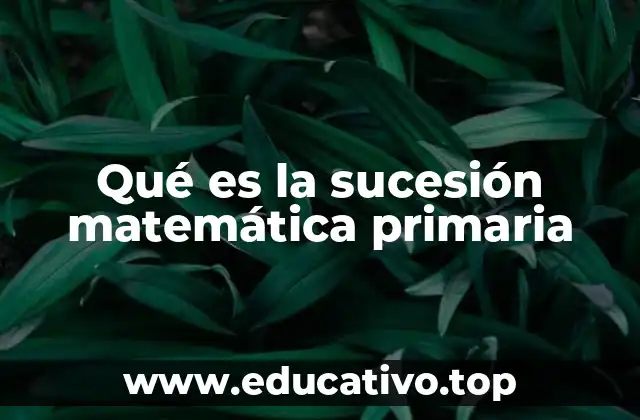 Qué es la sucesión matemática primaria