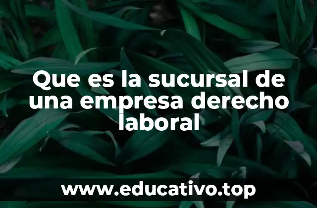 Que es la sucursal de una empresa derecho laboral