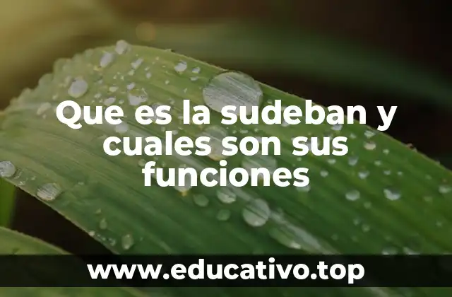Que es la sudeban y cuales son sus funciones