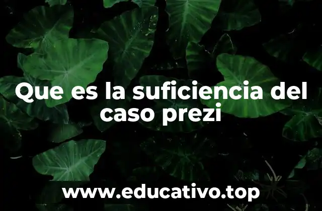 Que es la suficiencia del caso prezi