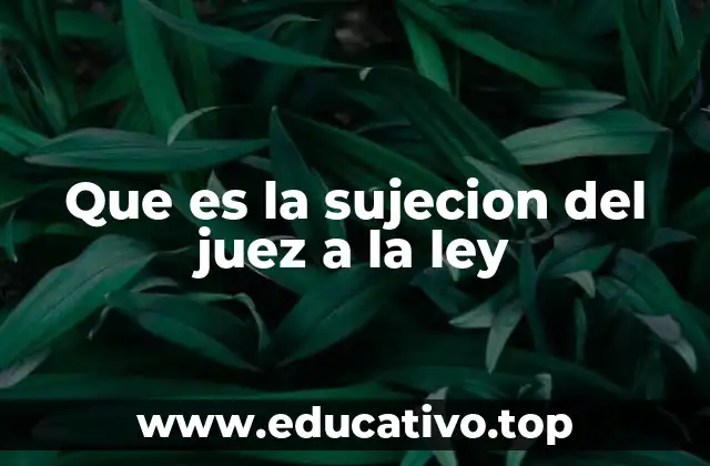 Que es la sujecion del juez a la ley