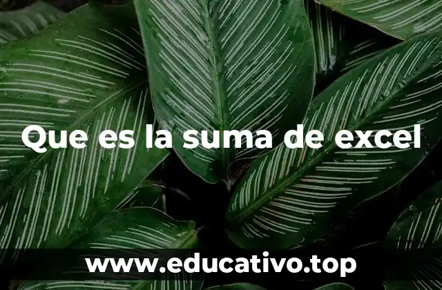 Que es la suma de excel