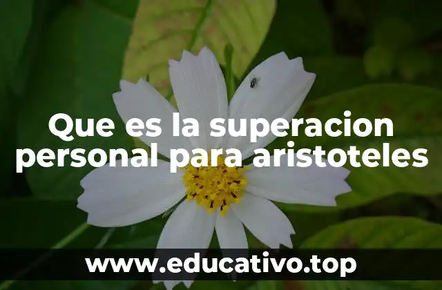 Que es la superacion personal para aristoteles