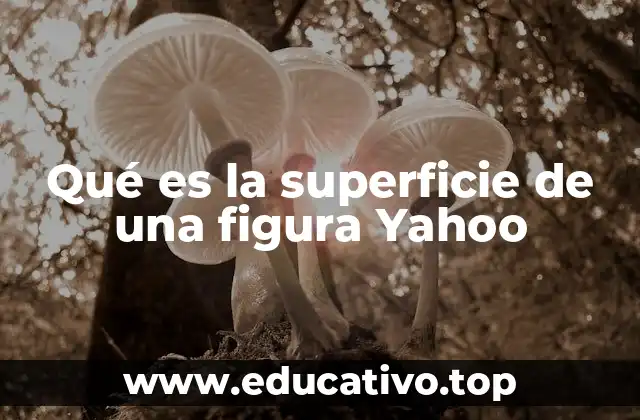 Qué es la superficie de una figura Yahoo