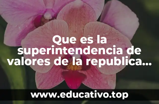 Que es la superintendencia de valores de la republica dominicana