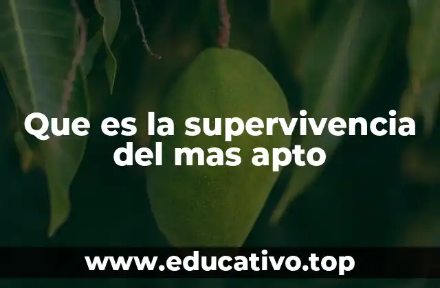 Que es la supervivencia del mas apto