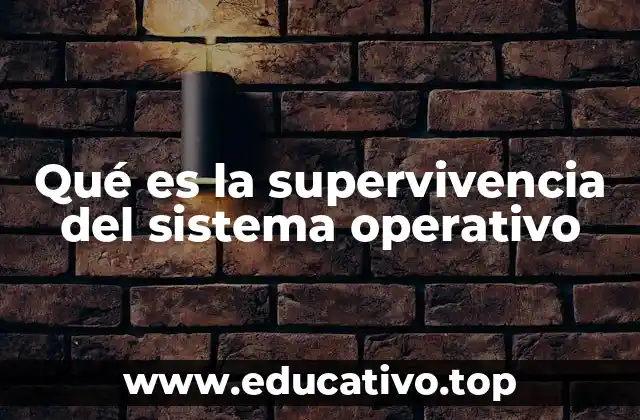 Qué es la supervivencia del sistema operativo