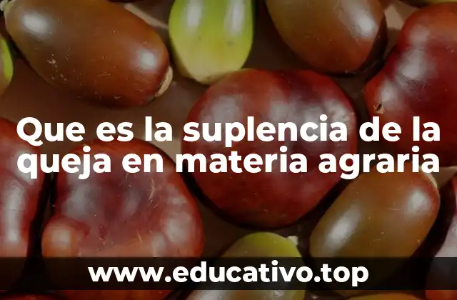 Que es la suplencia de la queja en materia agraria