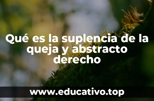 Qué es la suplencia de la queja y abstracto derecho