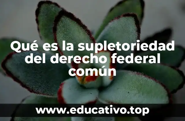 Qué es la supletoriedad del derecho federal común