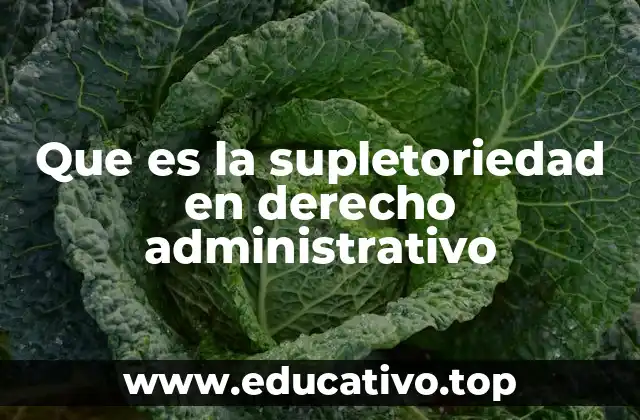 Que es la supletoriedad en derecho administrativo