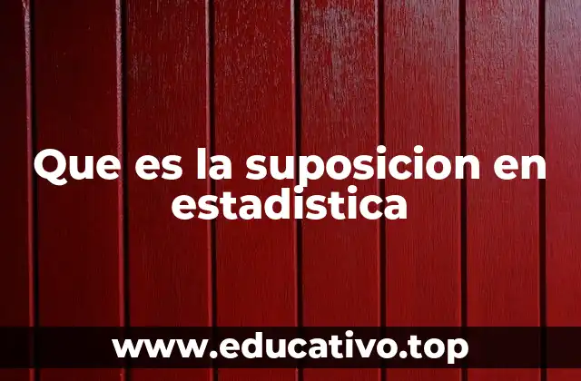 Que es la suposicion en estadistica