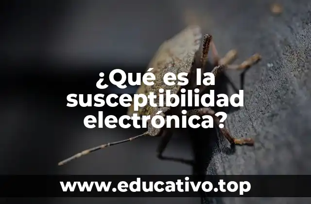 La respuesta de los materiales a los campos eléctricos